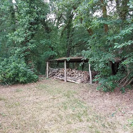 Evasion Naturelle Dans Notre Enchante * Casteron